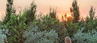 Luxury Villa in Tuscany with Pool near Pisa and Florence - Sixe Bedrooms 12 pl