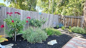 A garden with a wooden fence, various plants, and a brick pathway.