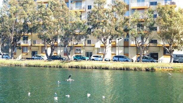 Een rij meergezinswoningen met balkons, geparkeerde auto's en een waterpartij op de voorgrond.