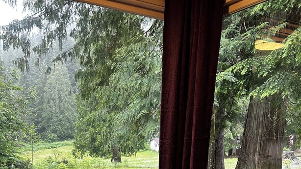 Un sofá de cuero marrón con vistas a un bosque a través de una ventana.