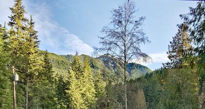Historic Family Cabin just 0.4 miles from Mt. Rainier entrance