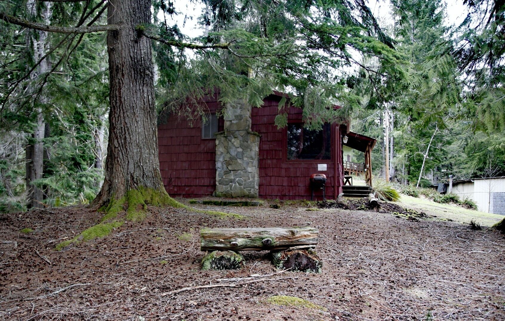 A rustic cabin surrounded by dense forest.