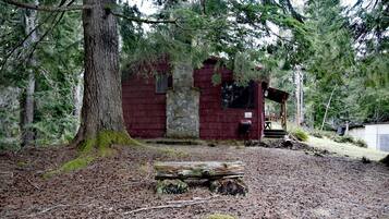 A rustic cabin surrounded by dense forest.