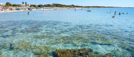 Una playa cerca