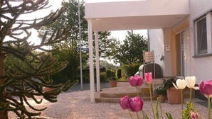 A garden with a patio area, a pergola, and a variety of plants including a large tree and tulips. - Lounge 1 - Top apartment approx. 75sqm, parking at the house, all in (Koblenz)
