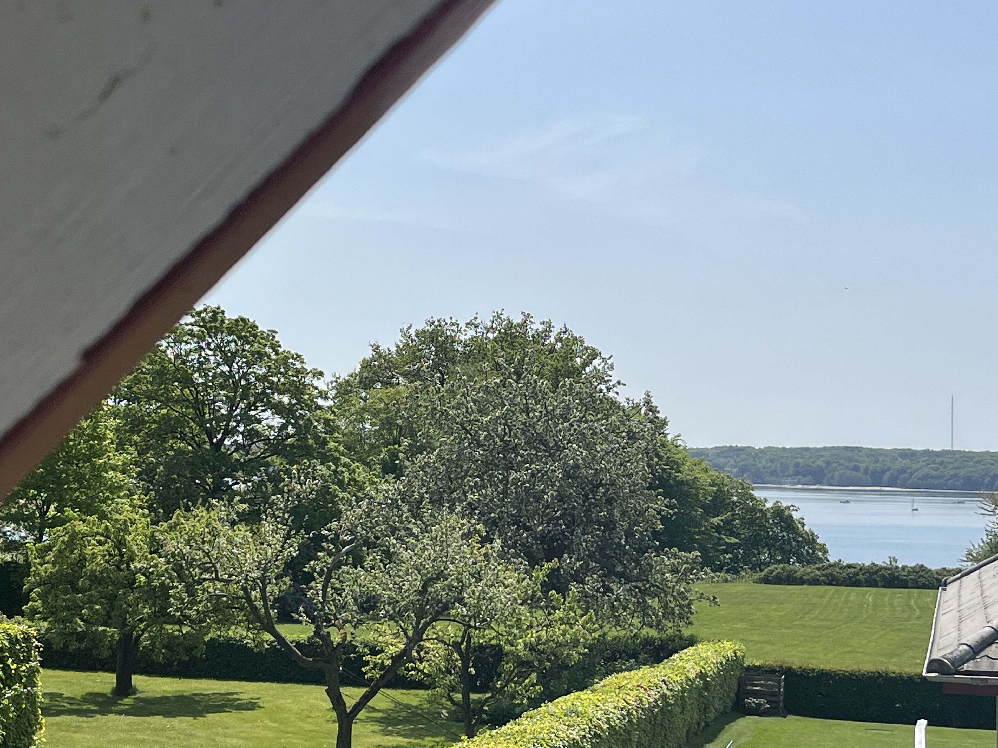 Blick auf eine gepflegte Rasenfläche mit verschiedenen Bäumen und einem Gewässer im Hintergrund.