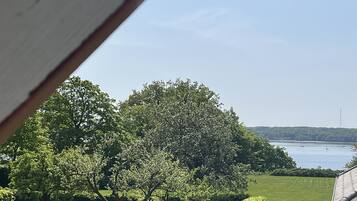 Blick auf eine gepflegte Rasenfläche mit verschiedenen Bäumen und einem Gewässer im Hintergrund.
