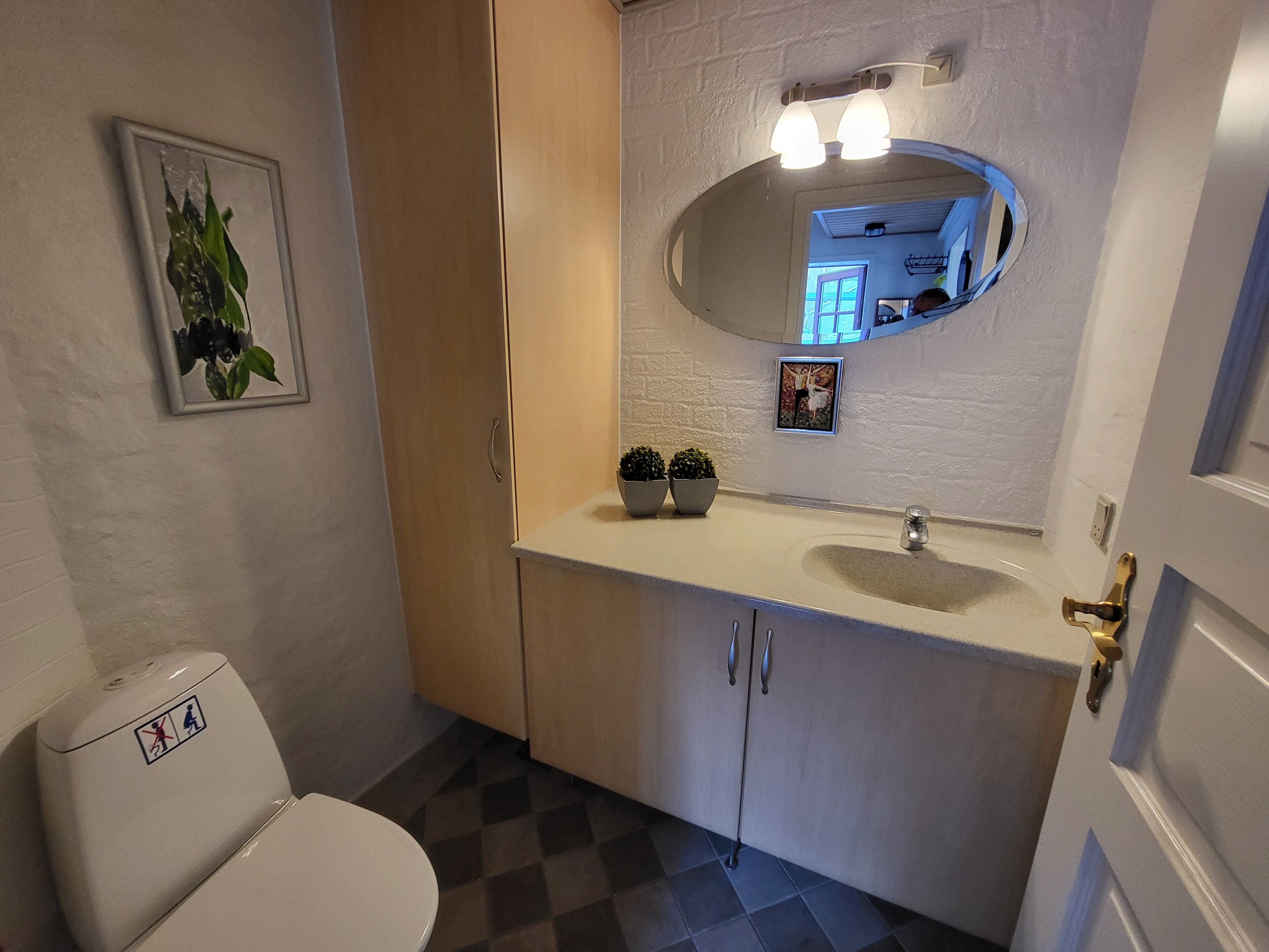 Une salle de bain avec des toilettes blanches, un lavabo surmonté d’un miroir et une petite plante en pot posée sur le comptoir.