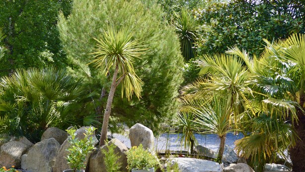 A garden with various potted plants and large rocks. - La Pichonnière (Isigny-le-Buat)
