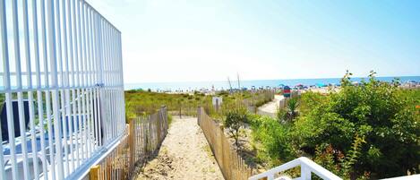 A beach pathway with a wooden fence, a sandy beach, and a clear sky.