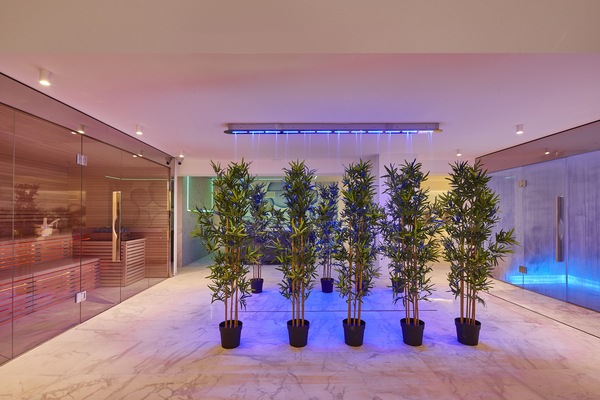 Sauna seca, banheira de hidromassagem, sauna a vapor, massagens