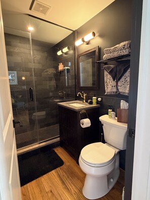 Regadera, secadora de cabello, toallas, papel de baño 