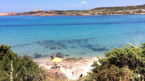 Una playa con agua azul cristalina, una orilla arenosa y algo de vegetación.