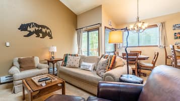 TV, fireplace, DVD player