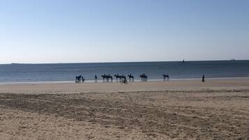 Plage à proximité