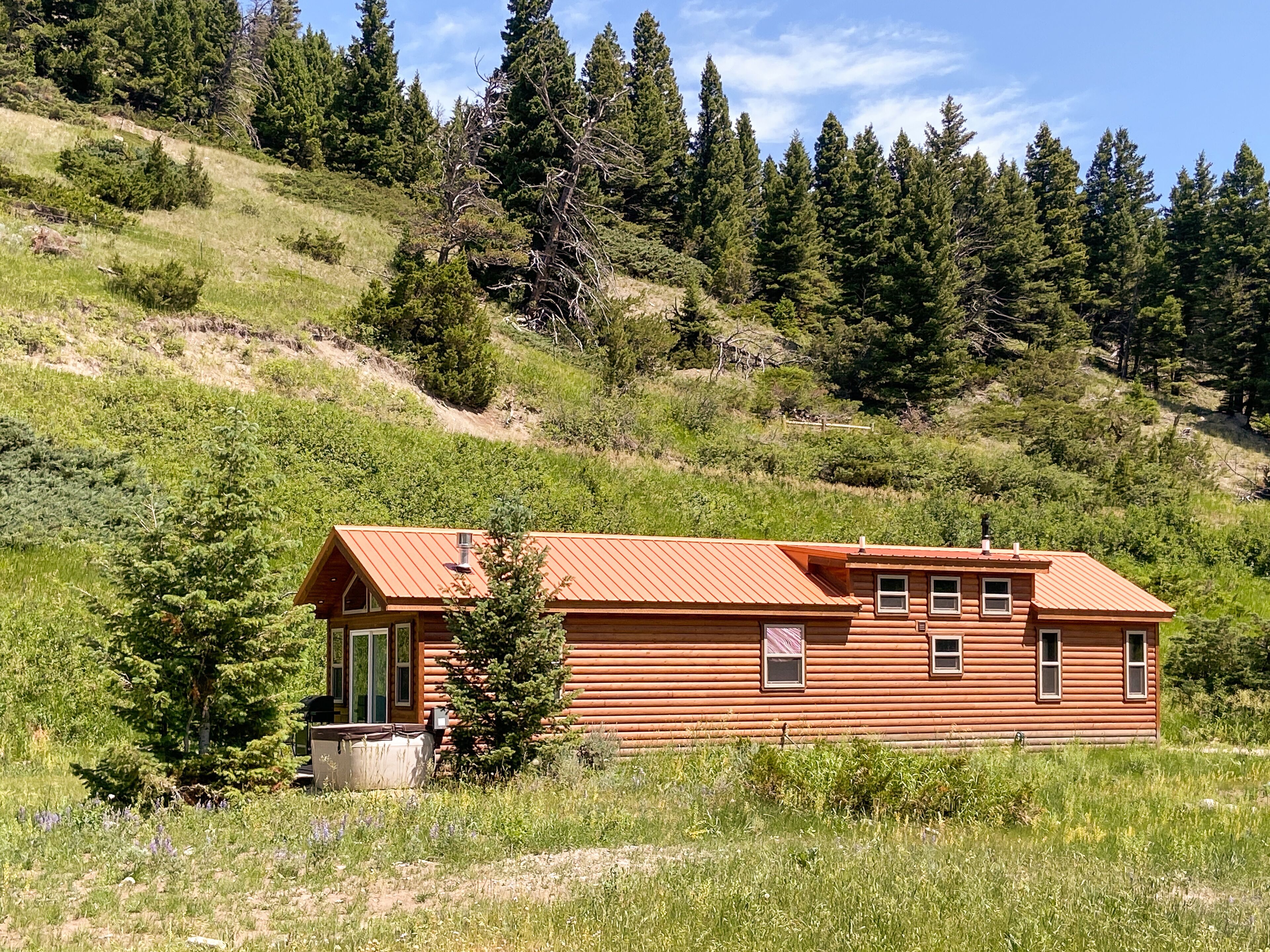 A wooden cabin with a red roof, surrounded by a grassy field and dense forest.