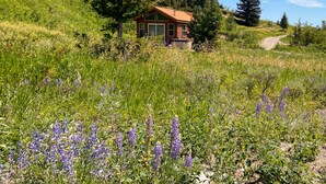 Una cabaña rodeada de exuberante follaje y flores silvestres.