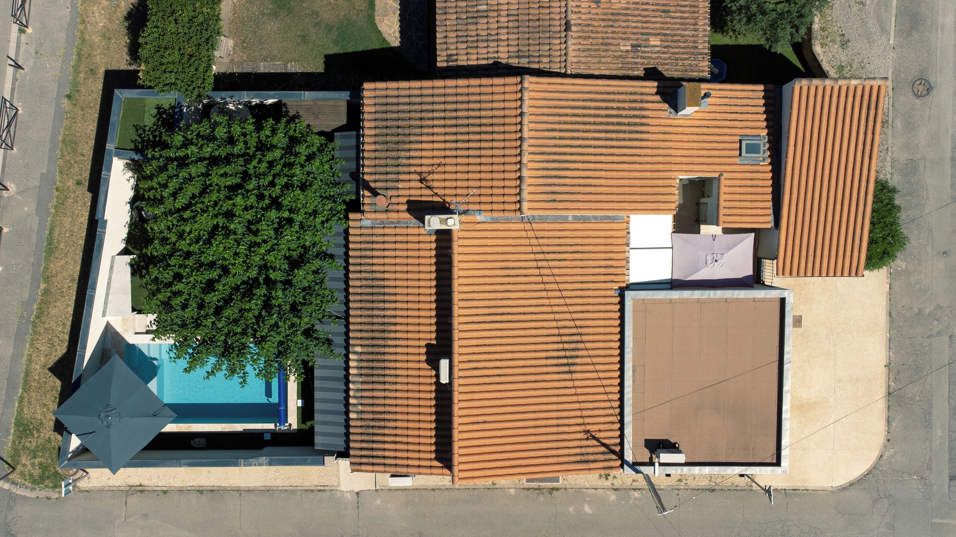 Vista aérea de un barrio residencial con varios edificios, una piscina y un árbol grande.