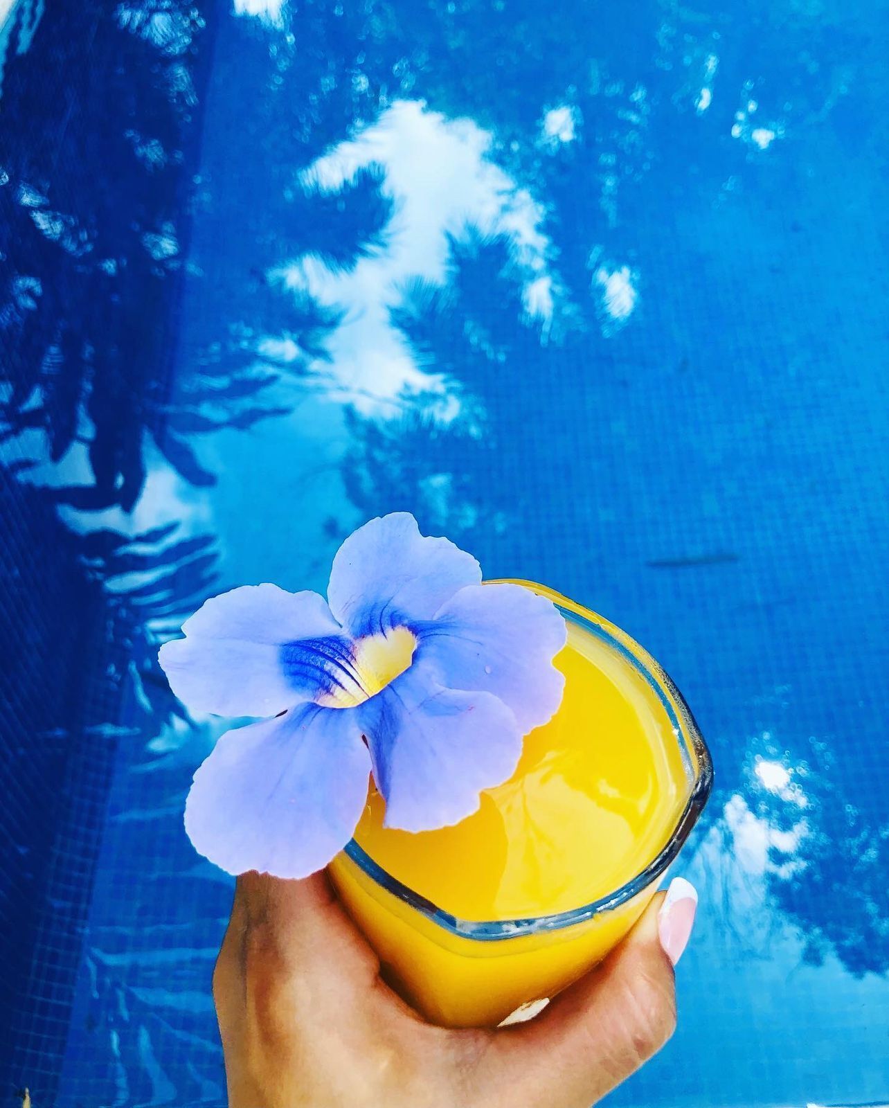 A hand holding a glass with a yellow liquid and a blue flower.