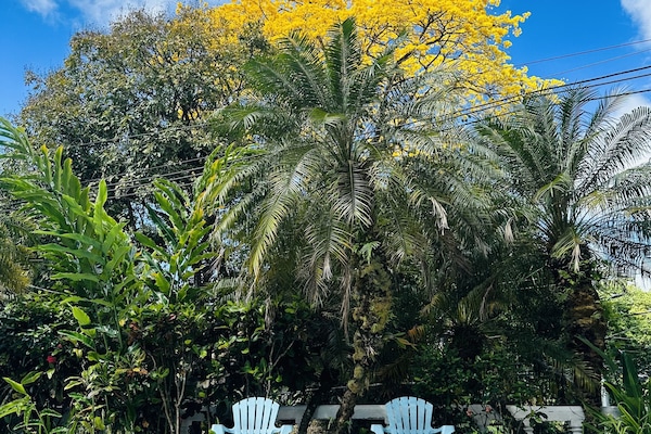 Outdoor pool, open 8:00 AM to 8:00 PM, pool umbrellas, sun loungers