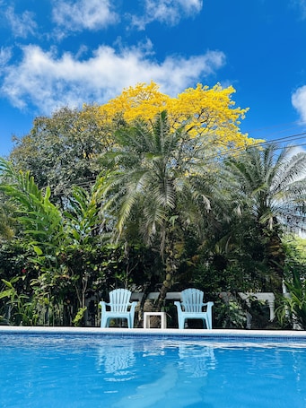 Outdoor pool, open 8:00 AM to 8:00 PM, pool umbrellas, sun loungers
