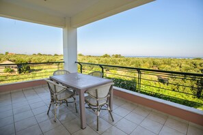 Vista del balcón