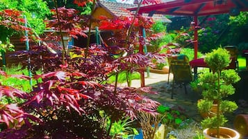 露台/庭院