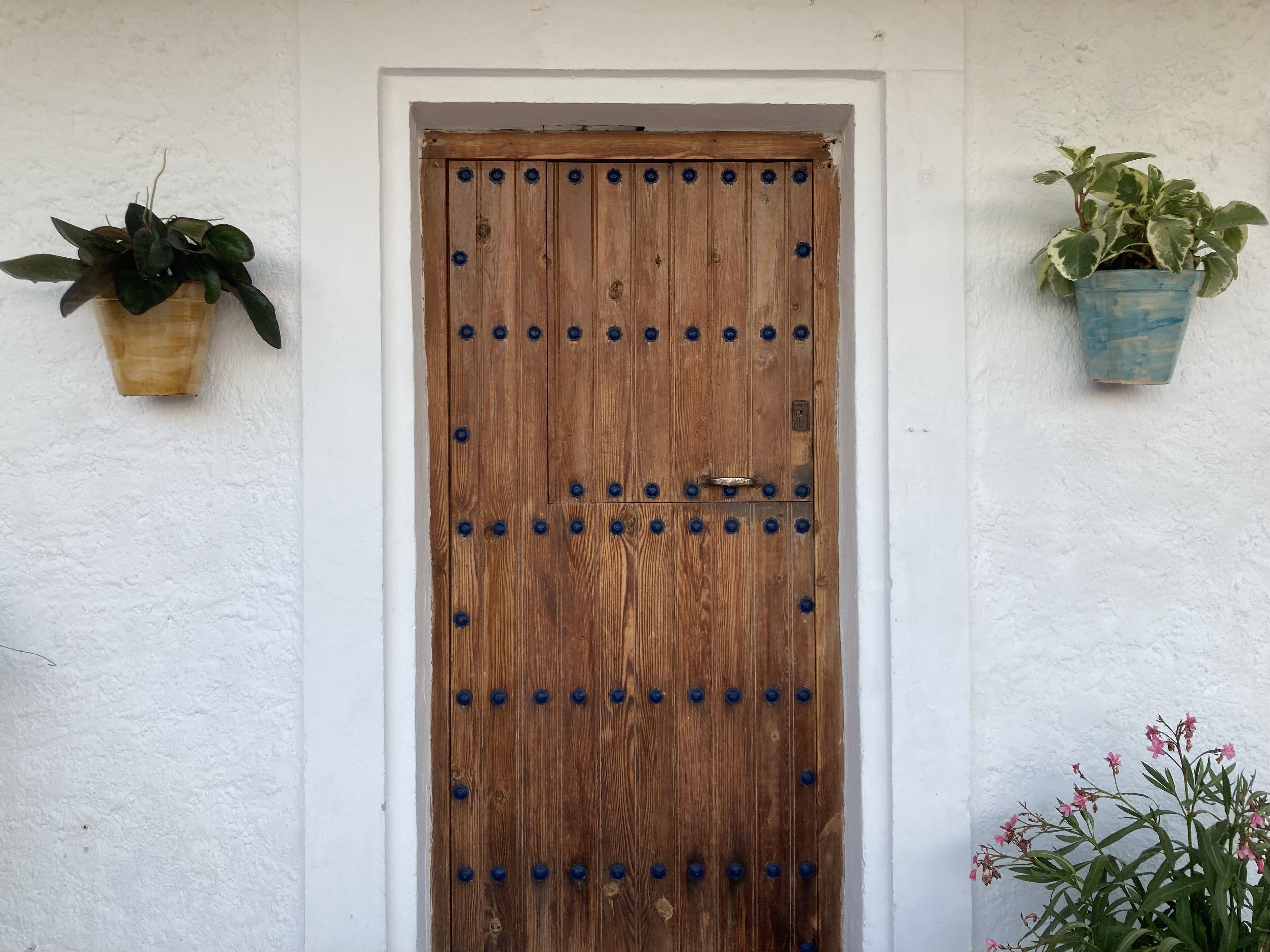 Una puerta de madera con remaches azules, flanqueada por dos macetas con plantas.