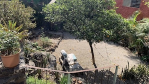 Un patio con diversas plantas, un árbol pequeño y una banca.