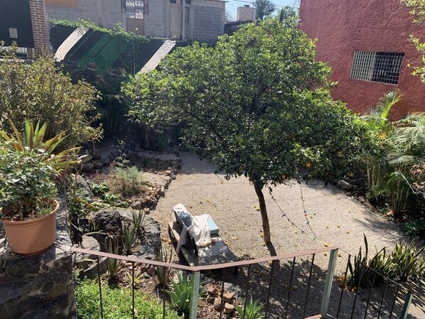Property grounds - Apartment with garden in the center of Tepoztlán (Tepoztlán)