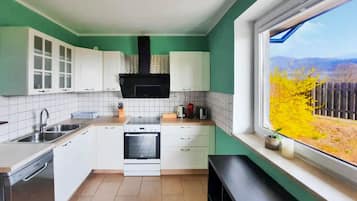 Kühlschrank, Ofen, Herdplatte, Geschirrspüler