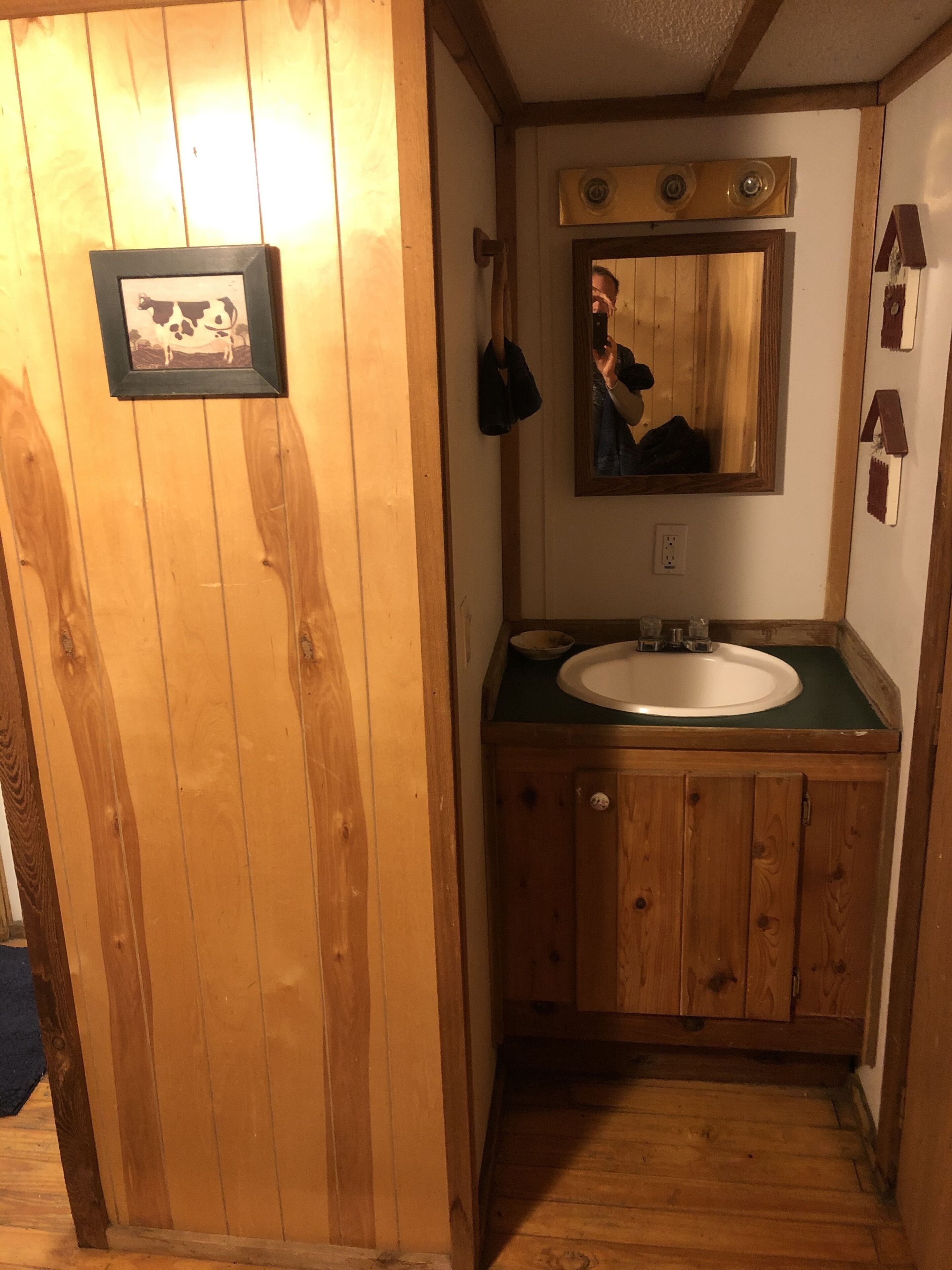1BR/1BA Trinity River Cabin (Salmon) w/ Small Loft