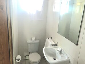 Shower, towels, soap, toilet paper