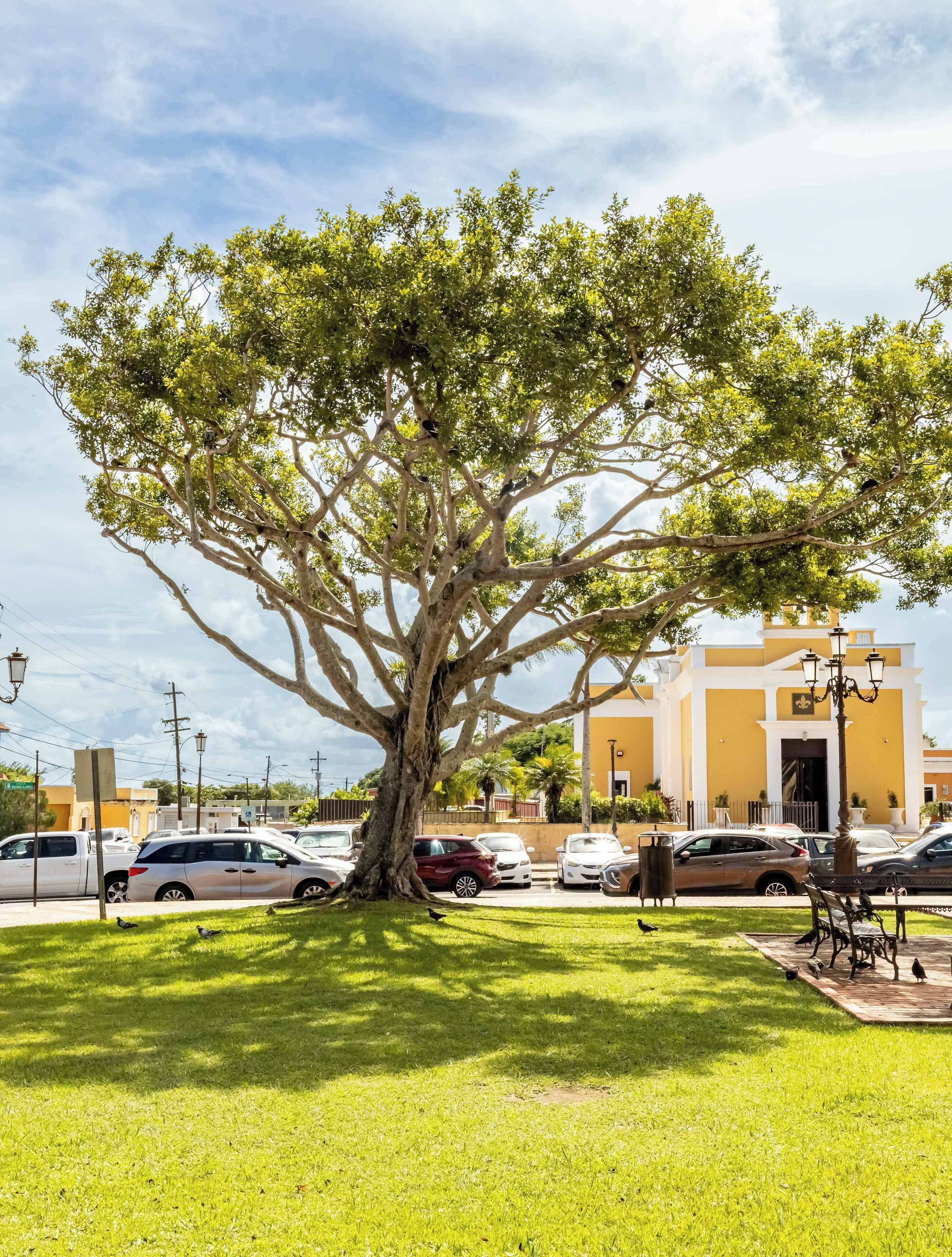 Áreas de la propiedad