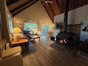 Fernseher, Kamin, Bücher, Arbeitsbereiche