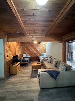 Fernseher, Kamin, Bücher, Arbeitsbereiche