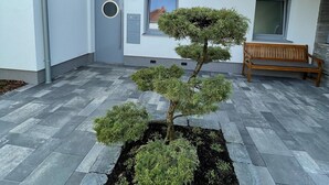 Ein modernes Gebäude mit minimalistischem Design, das einen zentralen Garten mit Bonsai-Baum, einer Bank und einer Tür mit rundem Fenster beherbergt.