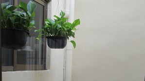 Ein schmaler Korridor mit Fliesenboden, einer weißen Wand und zwei hängenden Pflanzgefäßen mit Grünpflanzen.