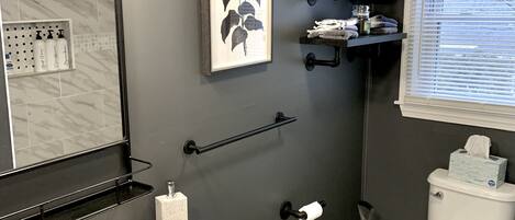 Un baño moderno con un lavamanos blanco, un espejo grande, una planta en marco y un inodoro.