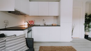 A modern kitchen with white cabinets, a black countertop, a stainless steel sink, and a built-in stove. There is a woven rug on the floor and a potted plant in the corner. - Bergen Beds - The Penthouse (Bergen)