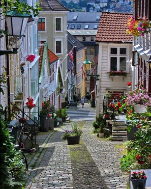 Een geplaveide straat omzoomd met kleurrijke gebouwen, een persoon loopt de straat op, en diverse potplanten en bloemen.