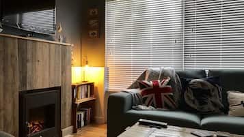 TV, fireplace, books