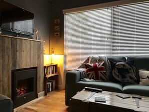 TV, fireplace, books