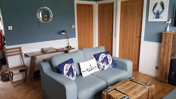 TV, fireplace, books