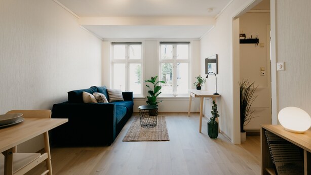 A modern living room with a dark blue sofa, a small round table, a potted plant, and a bright floor lamp. - Bergen Beds - Studio Ground level (Bergen)