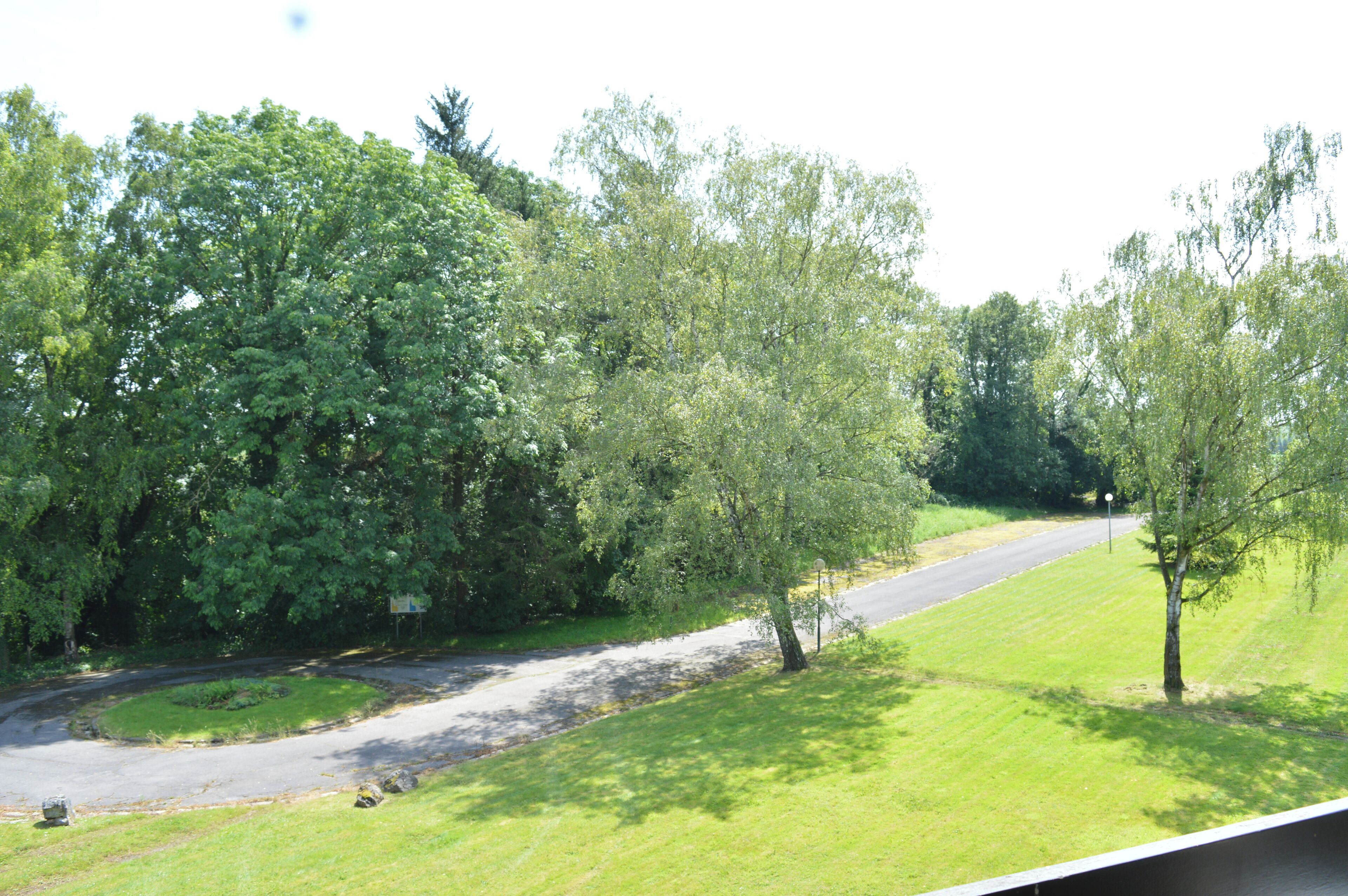 Een landweg kronkelend door een groen landschap met bomen en een grasveld.