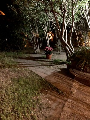 Property grounds - Sweet Home Mare "Li Cossi" (Isola Rossa)