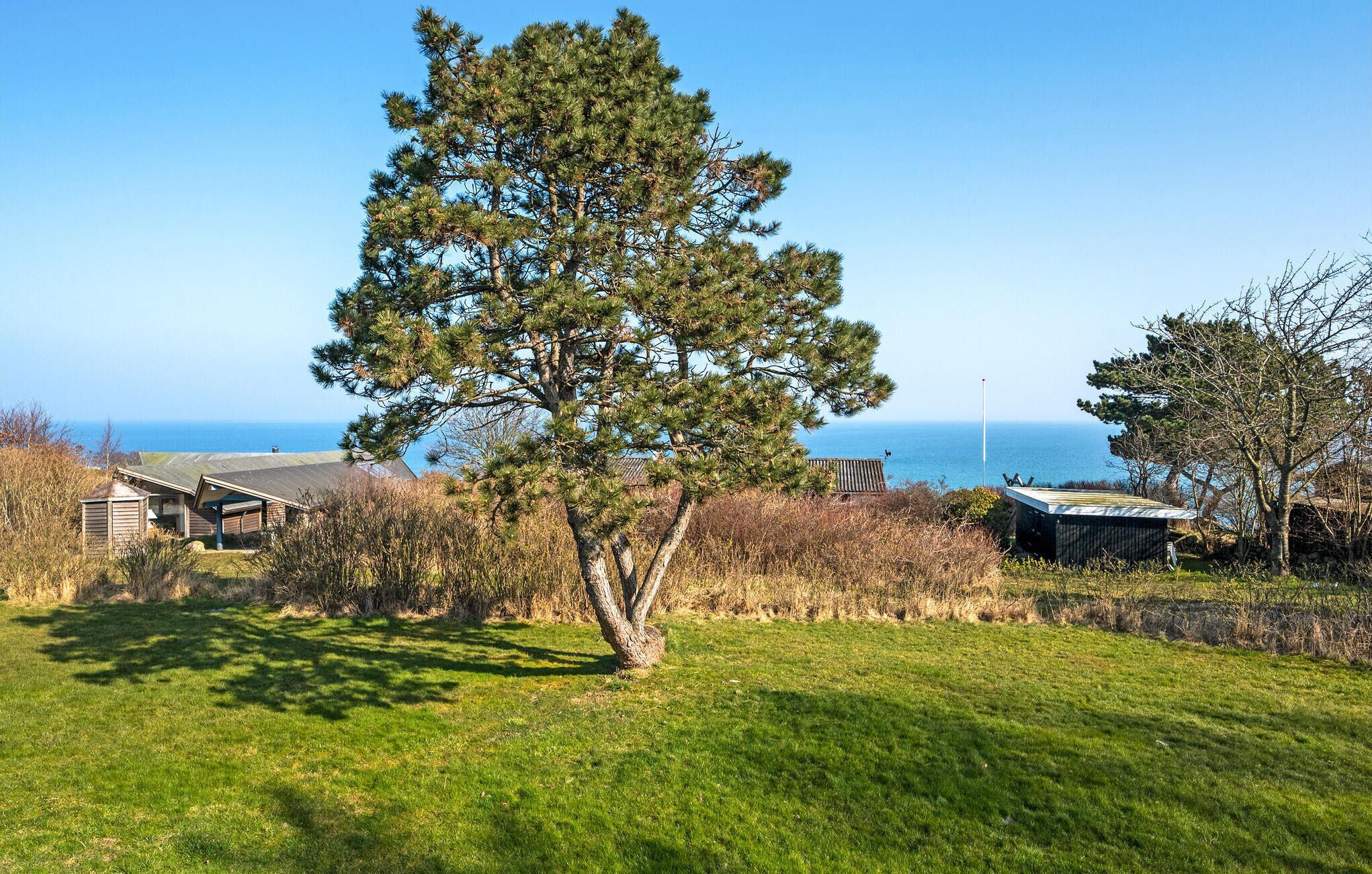 Ein Küstengrundstück mit einer markanten Kiefer, einem kleinen Gebäude und Blick auf den Ozean.