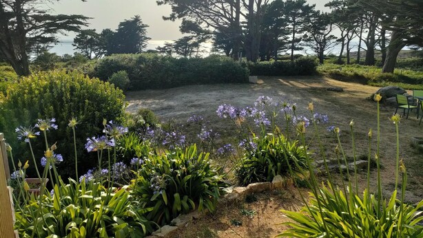 A garden with various plants and flowers, a dirt path, and a view of trees and a body of water in the background. - Maison Vue mer avec grand jardin sur la Côte de Granit Rose (Pleumeur-Bodou)
