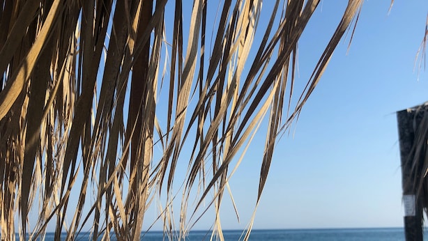 Une plage de galets, un palmier et une chaise avec un revêtement à rayures.